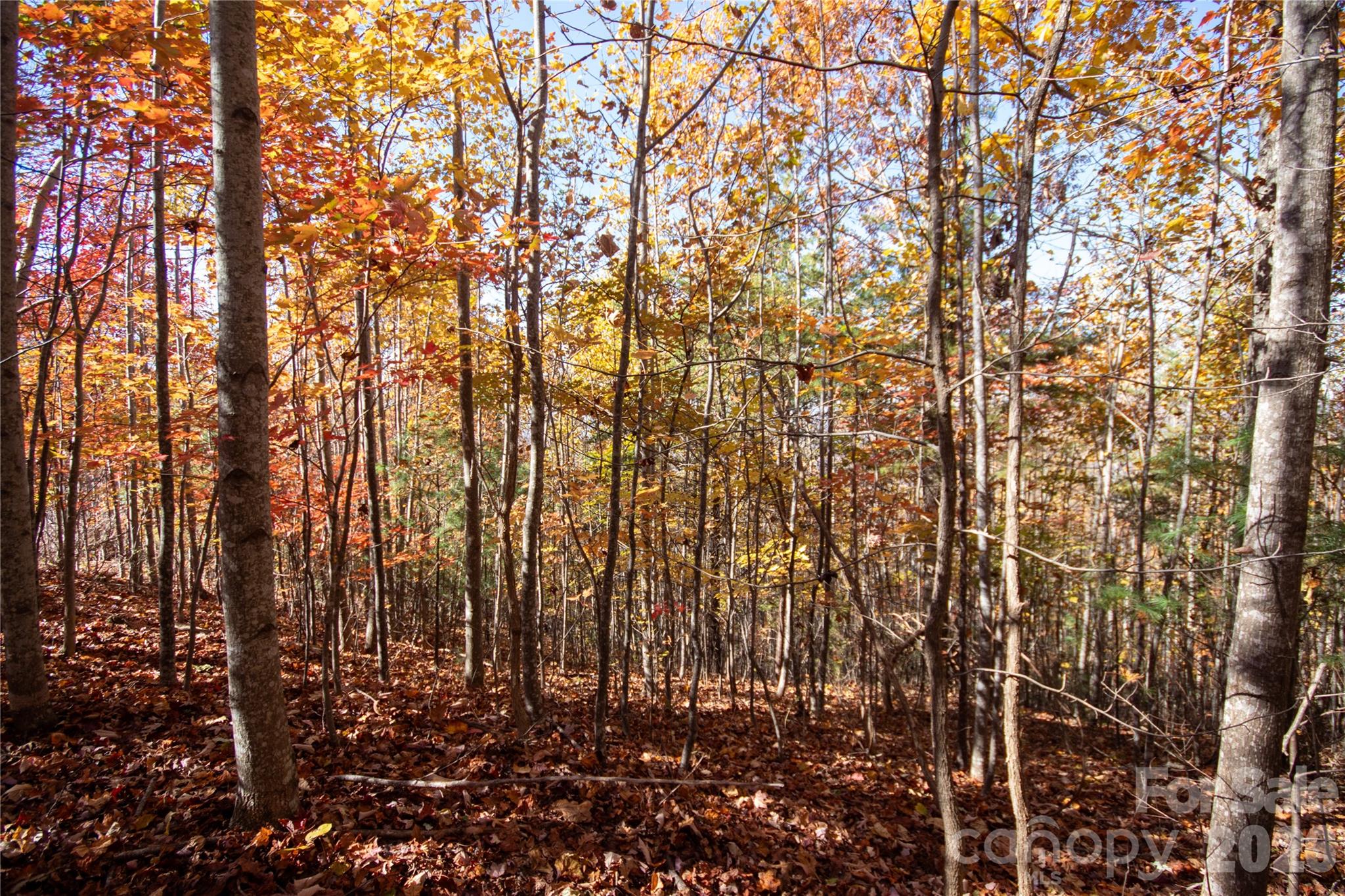 Lot at Lot# 4 Peregrine Terrace, Lenoir, photo 17 of 23
