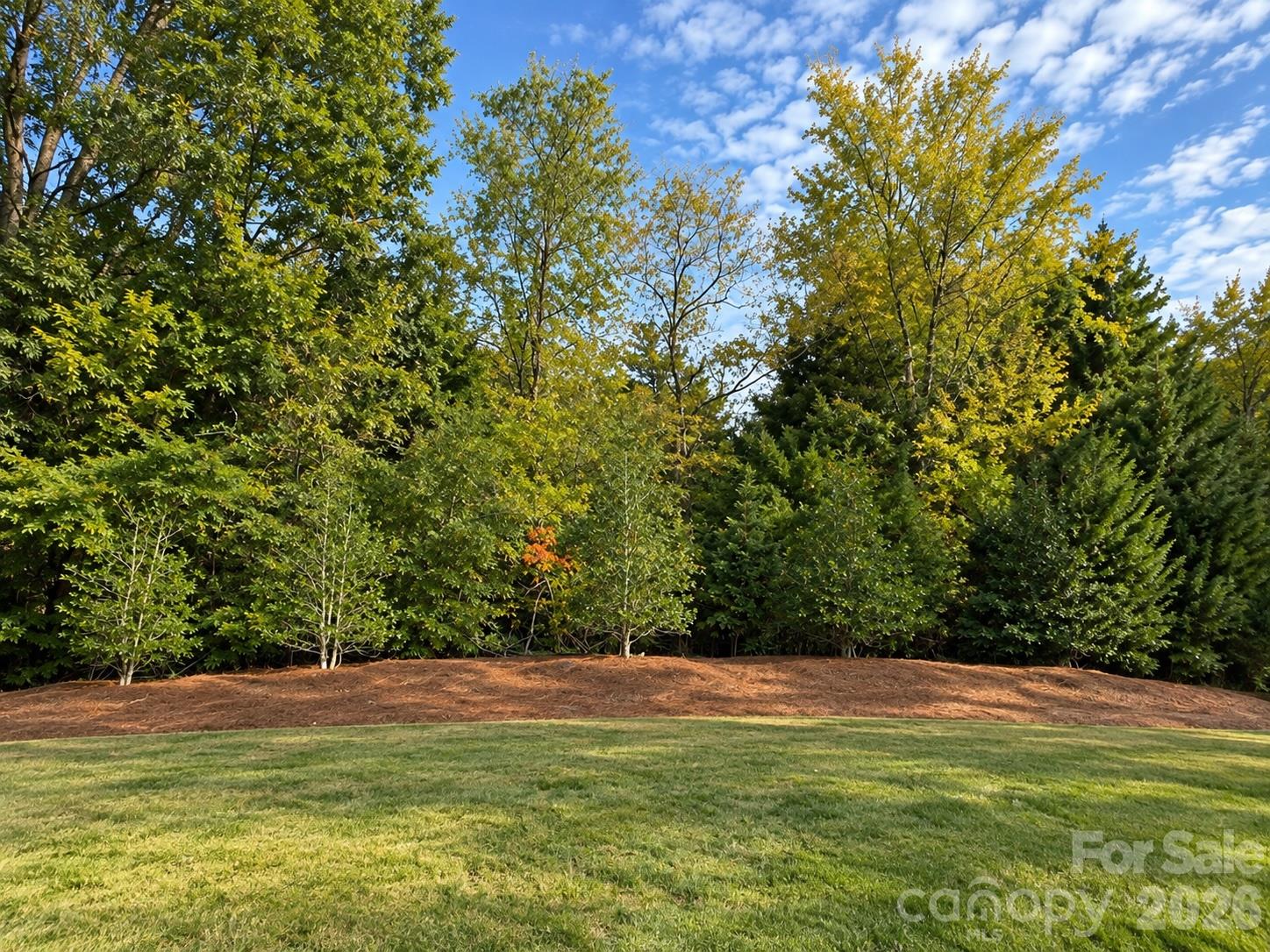 Back View - 680 Poplar View Drive NW, Concord