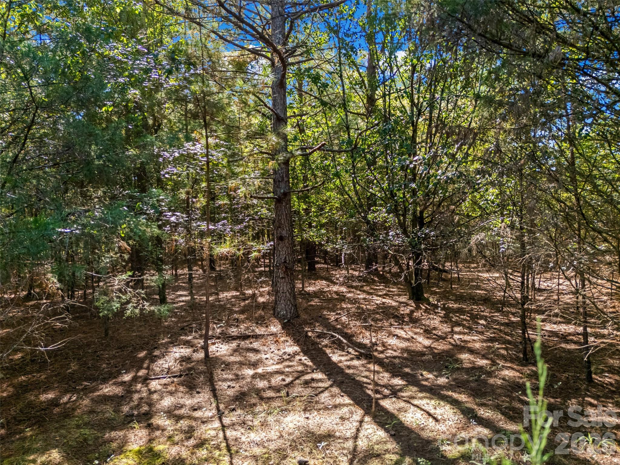 Single Family Residence at 7215 Cunningham Lane, Indian Trail, photo 2 of 32