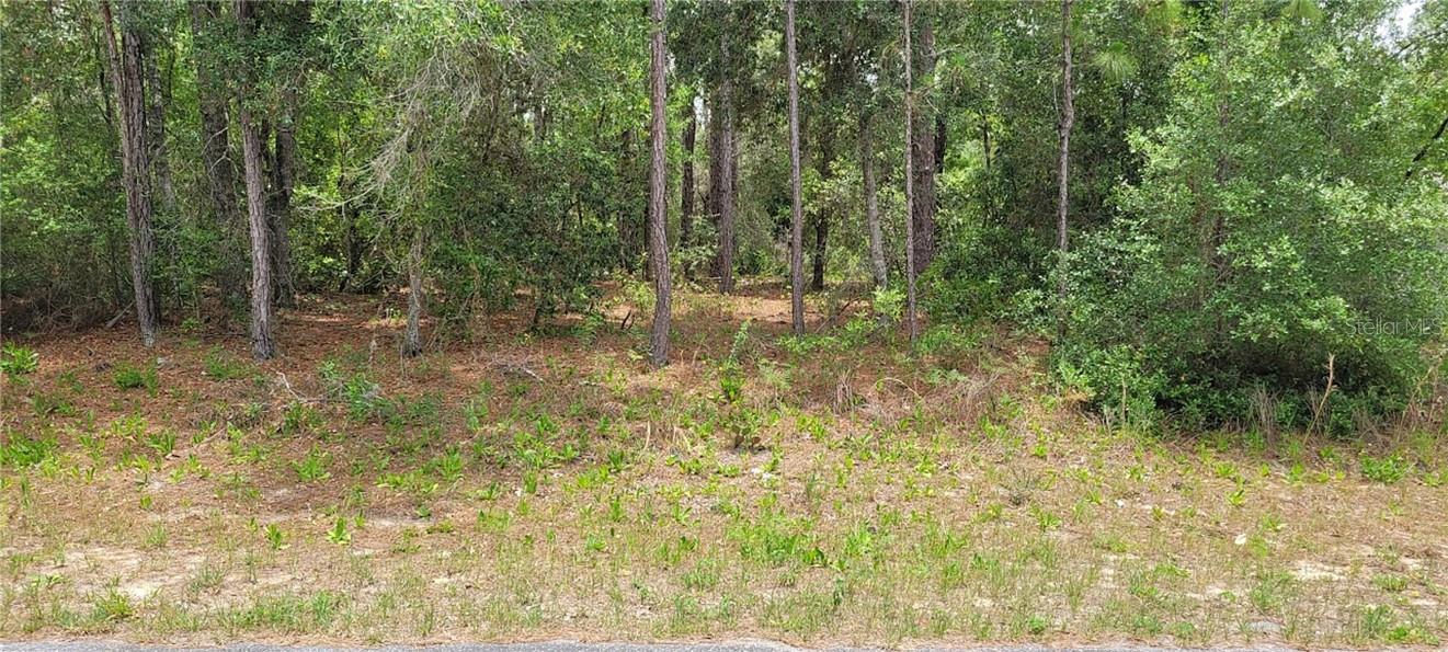 9169 N Saponaria DR, CITRUSSPRINGS FL 34433