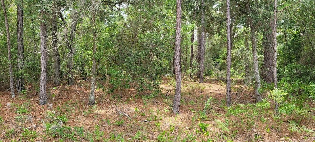 Land at 9169 N Saponaria DR, CITRUSSPRINGS FL 34433, Citrus Springs, photo 2 of 6
