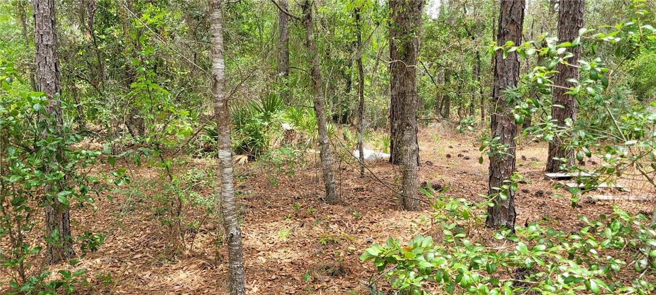 Land at 9169 N Saponaria DR, CITRUSSPRINGS FL 34433, Citrus Springs, photo 5 of 6