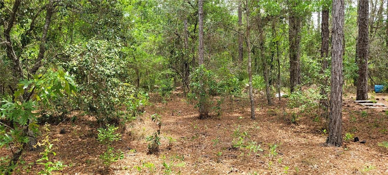 Land at 9169 N Saponaria DR, CITRUSSPRINGS FL 34433, Citrus Springs, photo 6 of 6