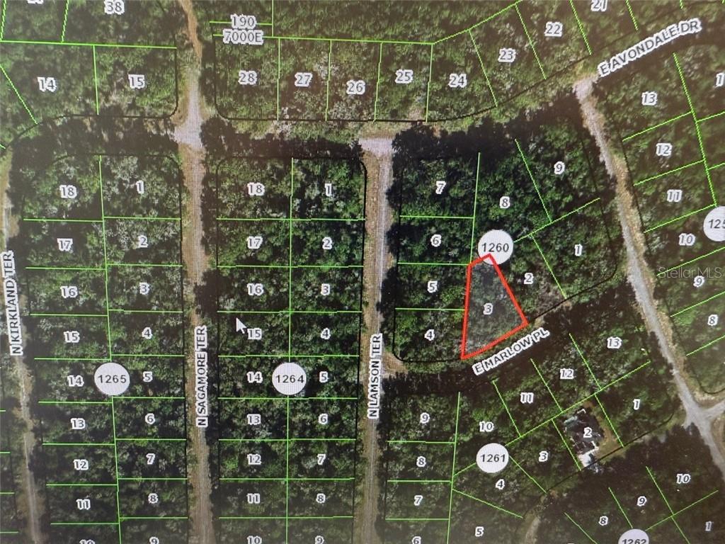 431 E Marlow PL, DUNNELLON FL 34434