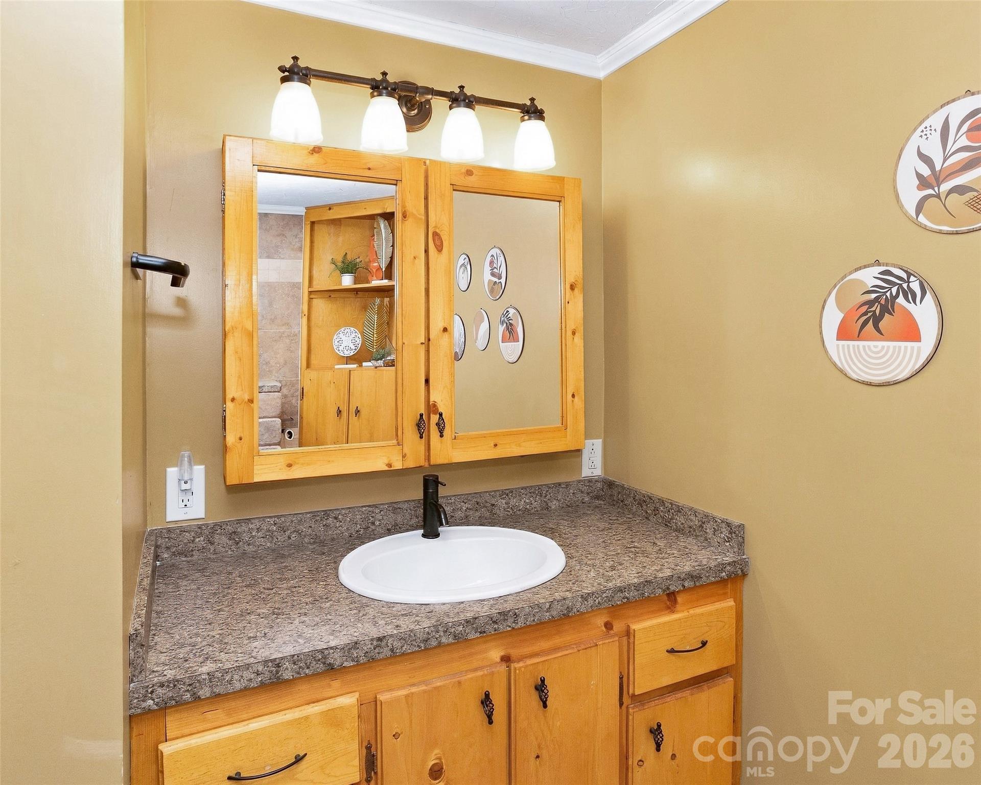 Single Family Residence at 321 Eagles Nest Road, Leicester, photo 32 of 48