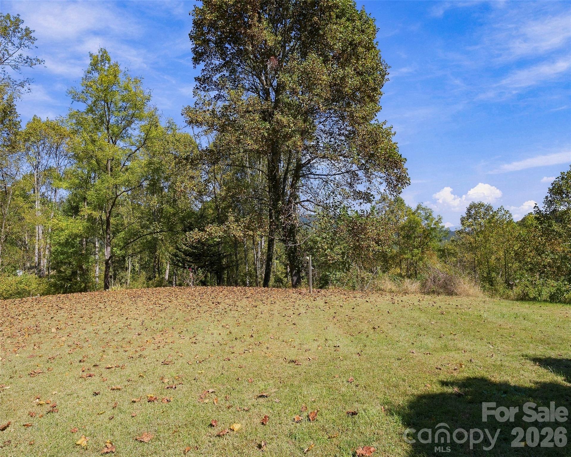 Single Family Residence at 321 Eagles Nest Road, Leicester, photo 40 of 48