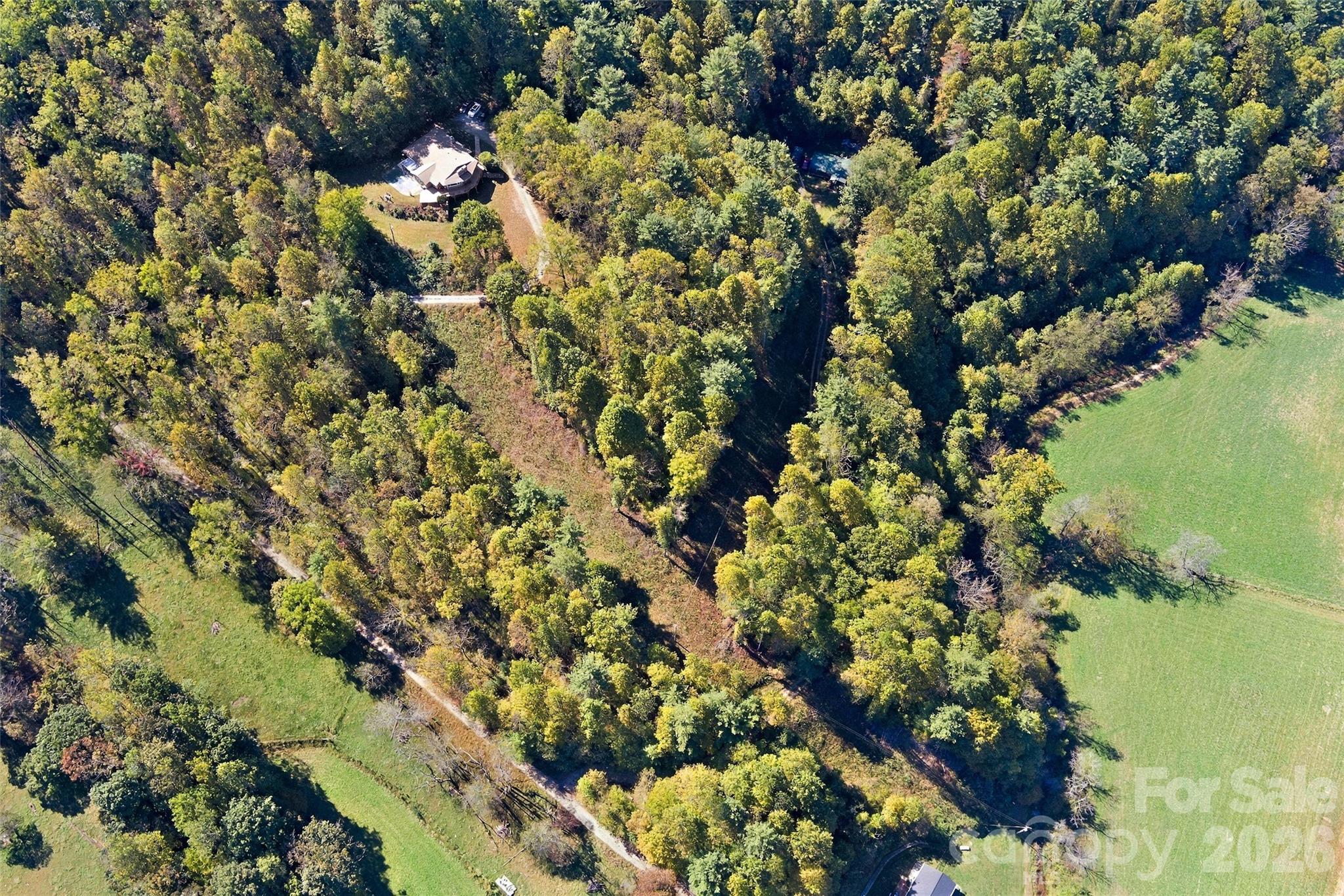 Single Family Residence at 321 Eagles Nest Road, Leicester, photo 43 of 48