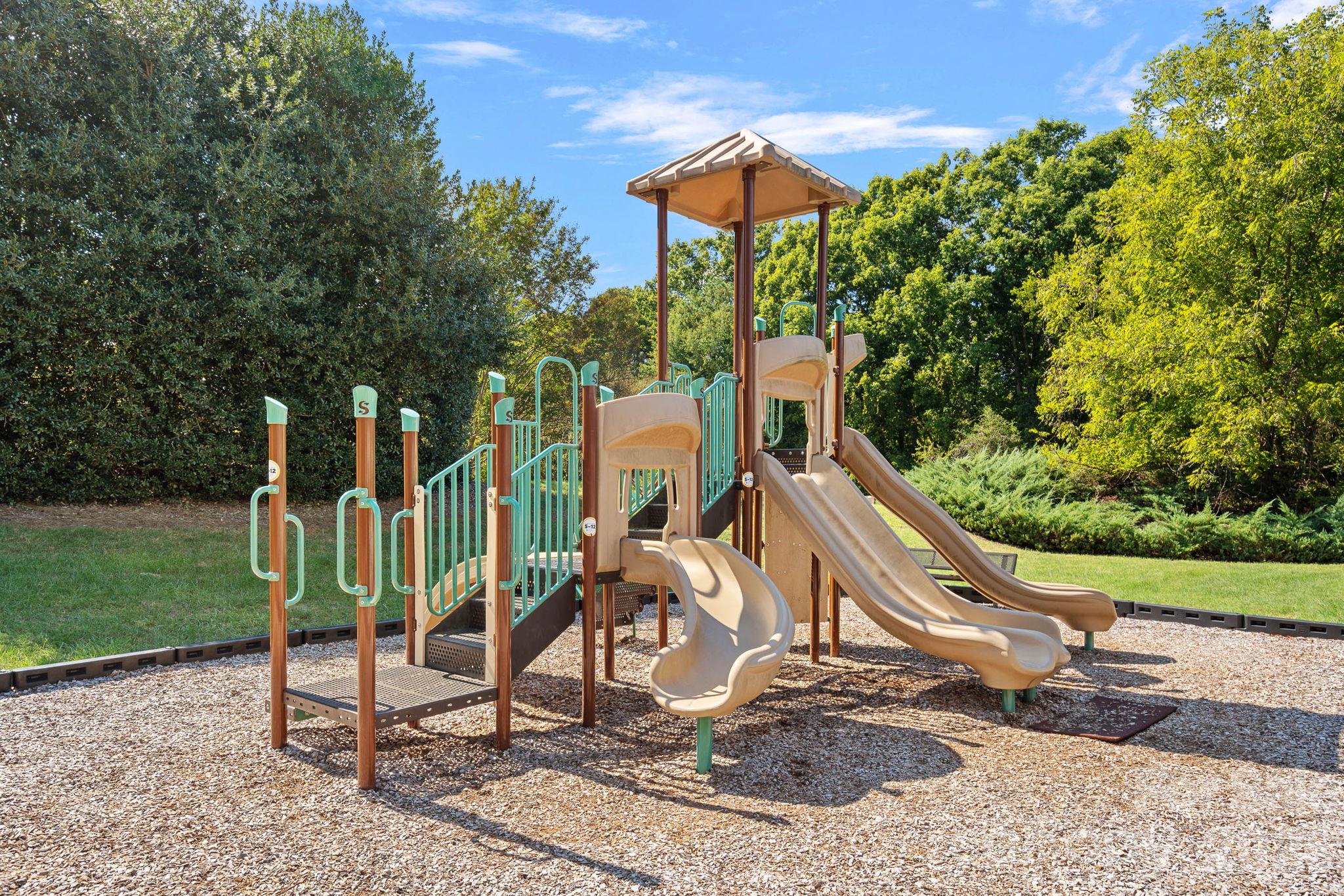 Community Amenities - 12424 Cool Mist Lane, Huntersville