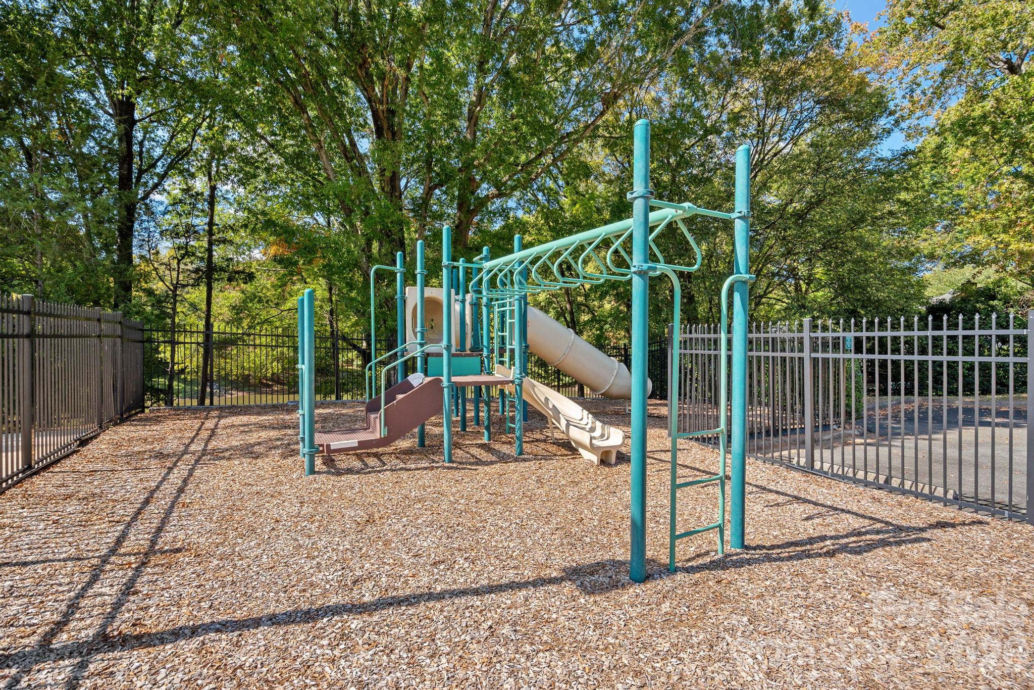 Community Amenities - 12424 Cool Mist Lane, Huntersville