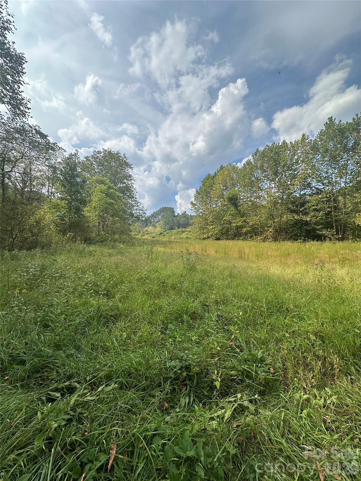 Acreage at TBD US 19 Highway, Burnsville, photo 11 of 13