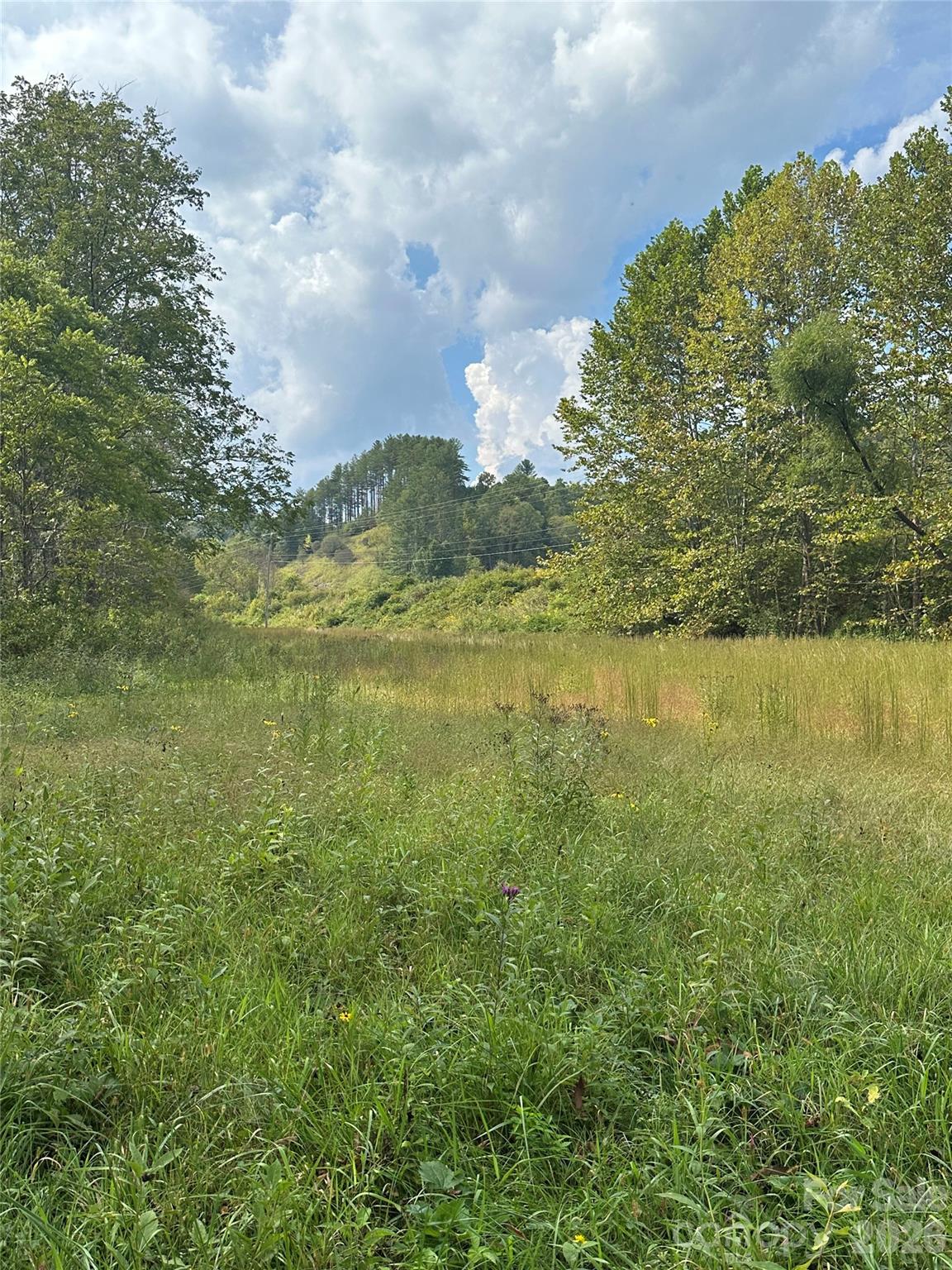Acreage at TBD US 19 Highway, Burnsville, photo 12 of 13