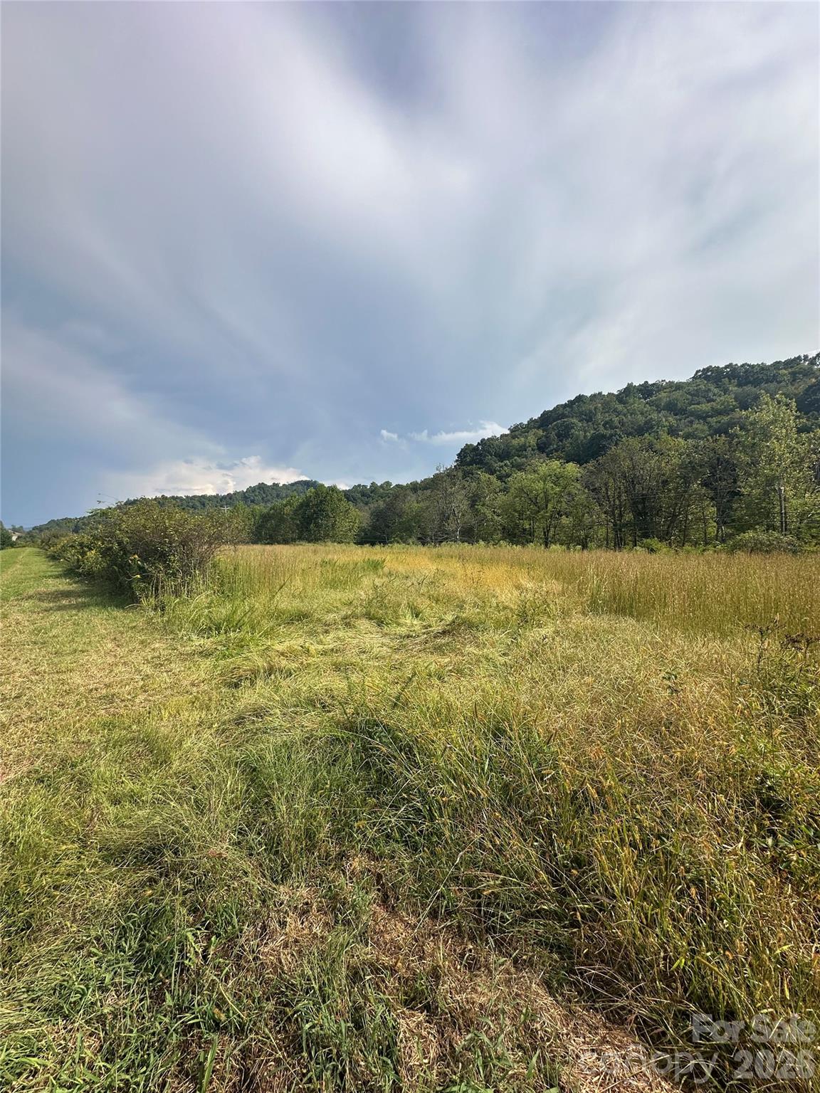 Acreage at TBD US 19 Highway, Burnsville, photo 13 of 13