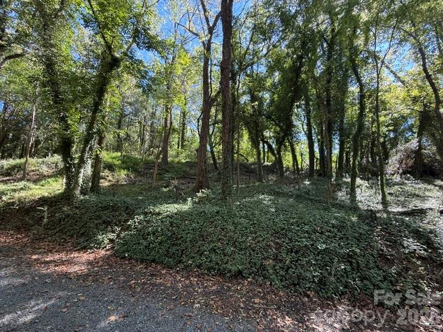 Natural surroundings - 245 Dunlap Street, Albemarle