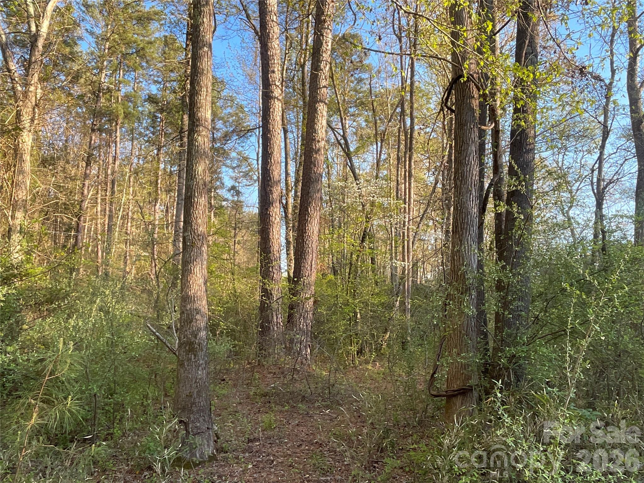 161 little river Trail