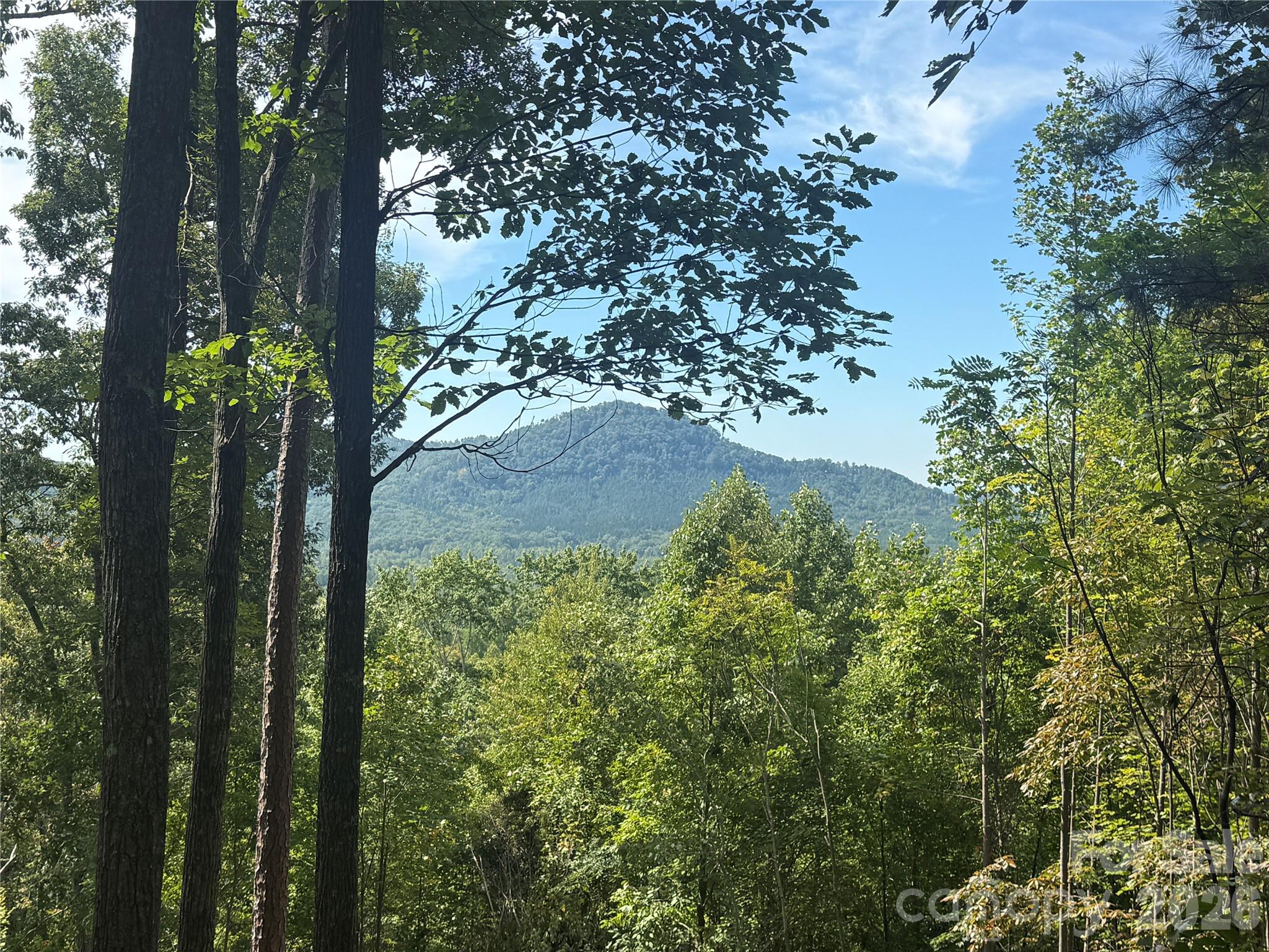 Lot at V/L Scenic Vista Drive, Nebo, photo 4 of 24