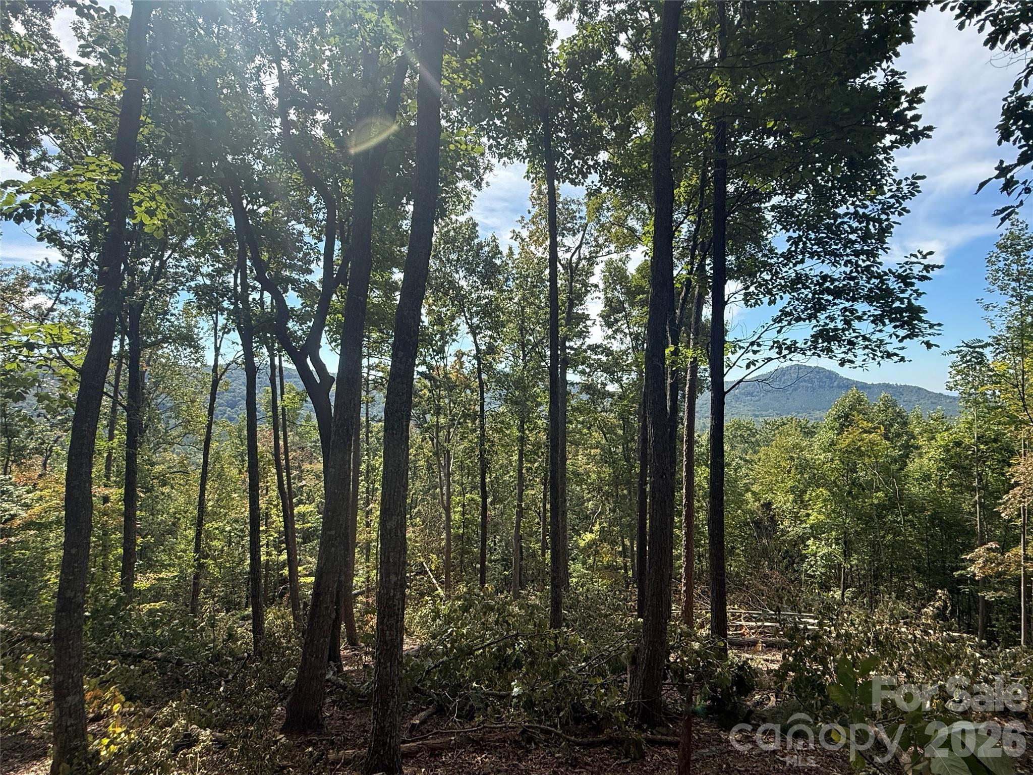Lot at V/L Scenic Vista Drive, Nebo, photo 6 of 24
