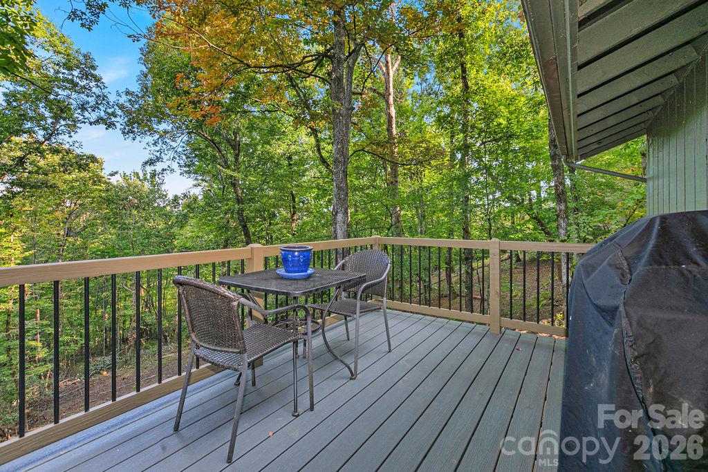 Outdoor Dining - 2377 Connestee Trail, Brevard