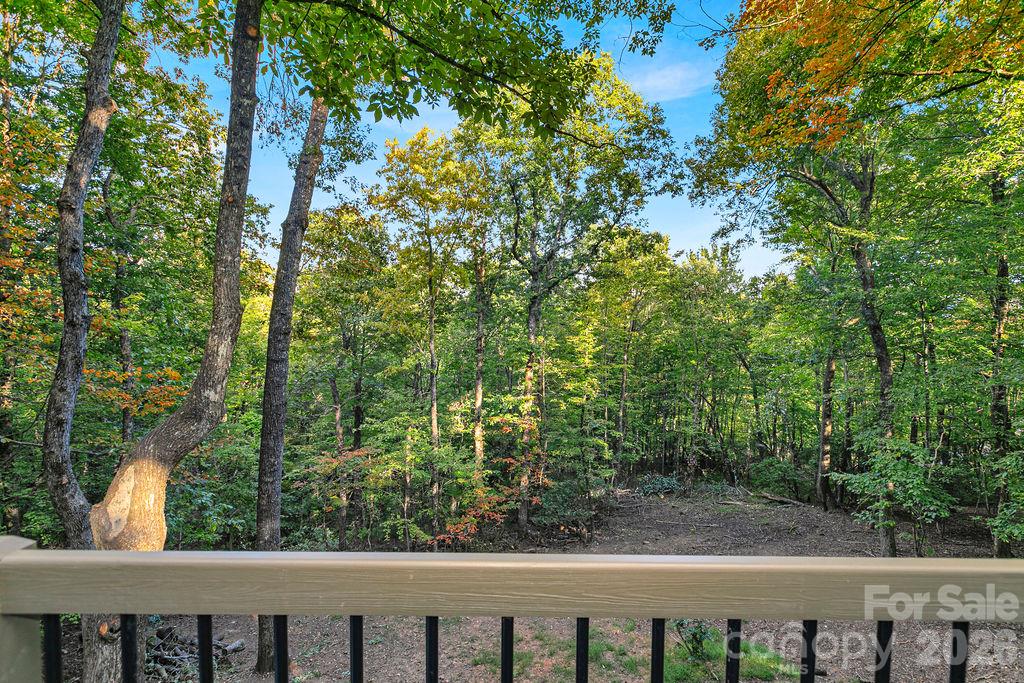 Total Privacy - 2377 Connestee Trail, Brevard