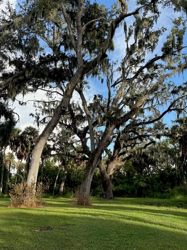 Land at 4003 57TH ST E, PALMETTO, photo 4 of 26