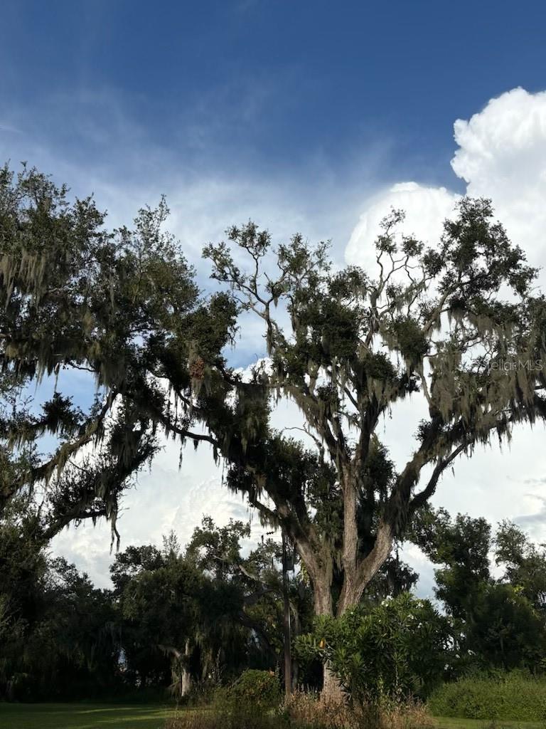 Land at 4003 57TH ST E, PALMETTO, photo 7 of 26