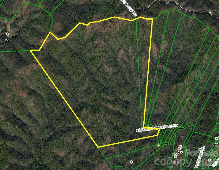Lot at TBD Old Toxaway Road, Brevard, photo 9 of 25