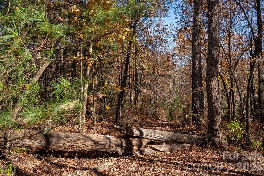 Lot at TBD Old Toxaway Road, Brevard, photo 13 of 25