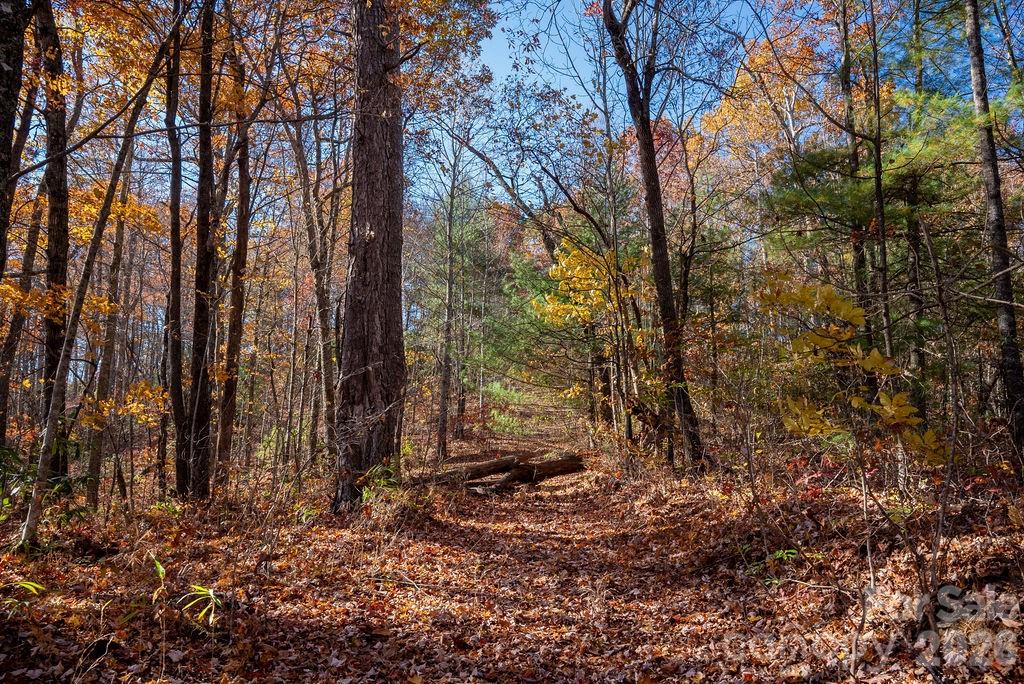 Lot at TBD Old Toxaway Road, Brevard, photo 16 of 25