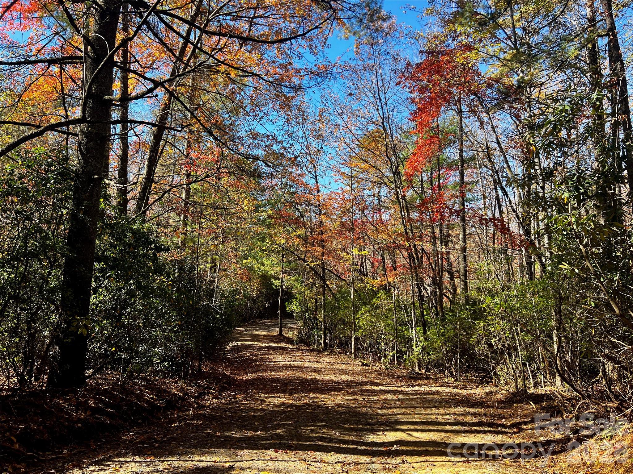 Lot at TBD Old Toxaway Road, Brevard, photo 18 of 25