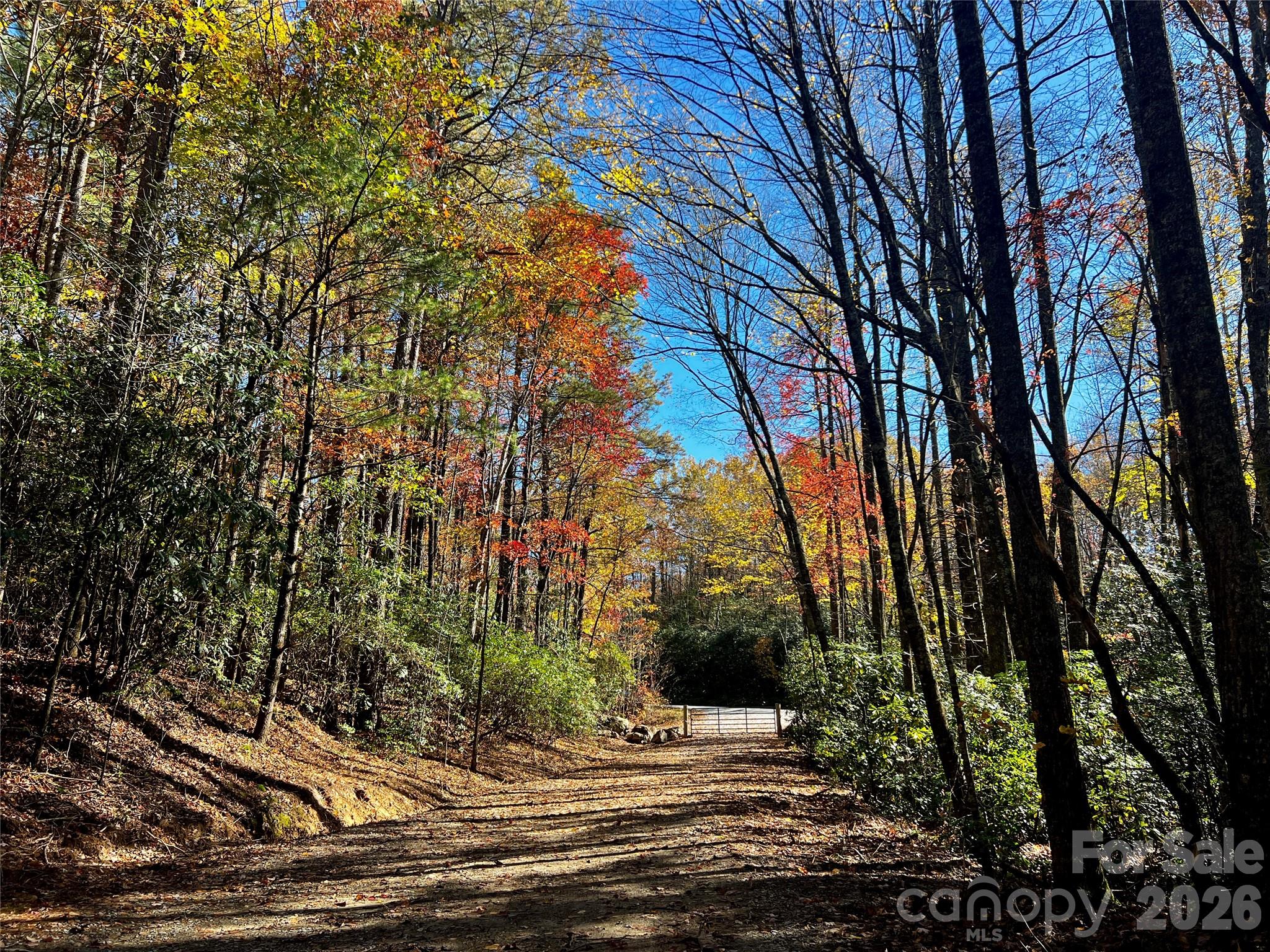 Lot at TBD Old Toxaway Road, Brevard, photo 19 of 25