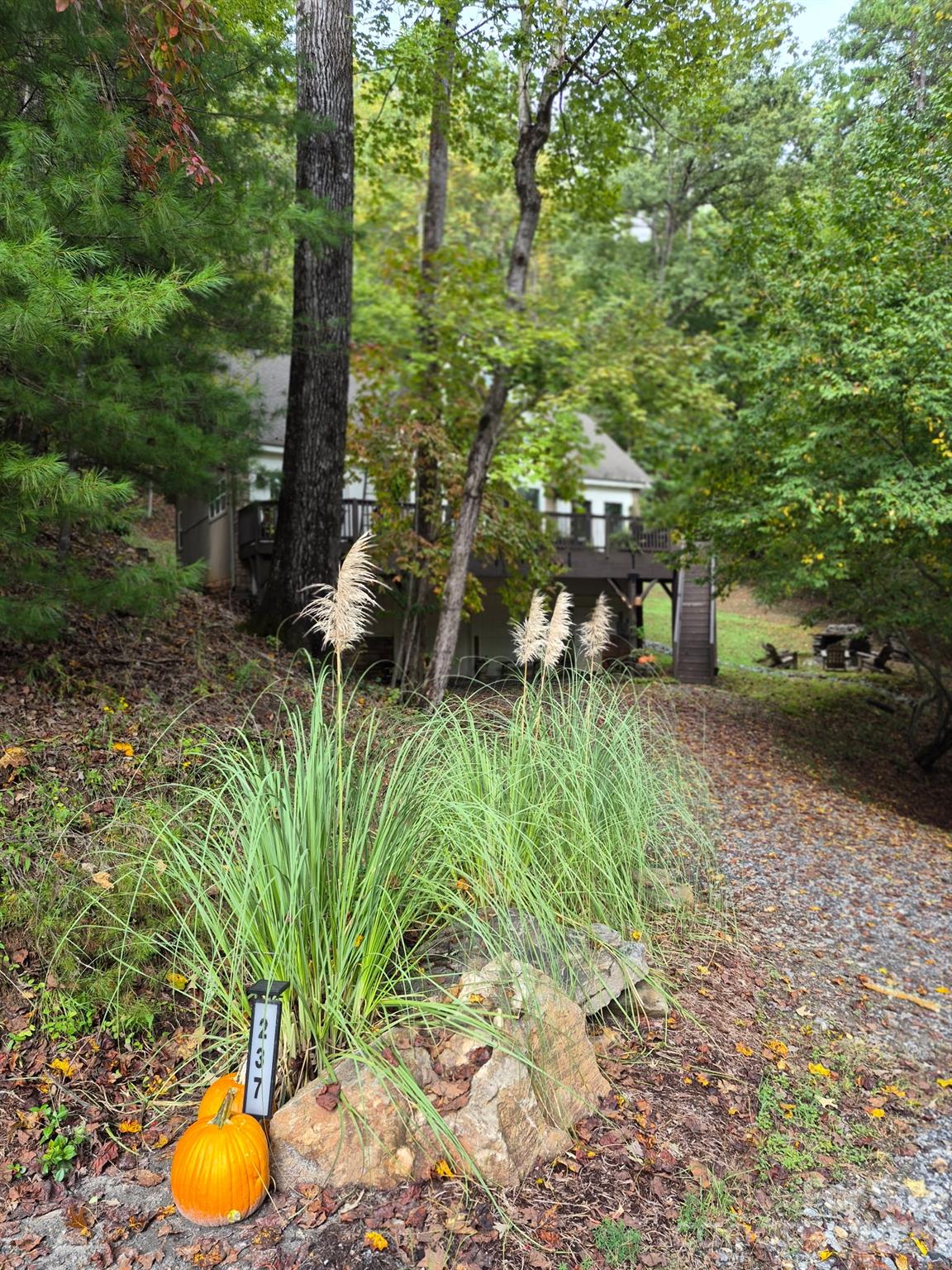 Single Family Residence at 237 Mallard Road, Lake Lure, photo 7 of 54