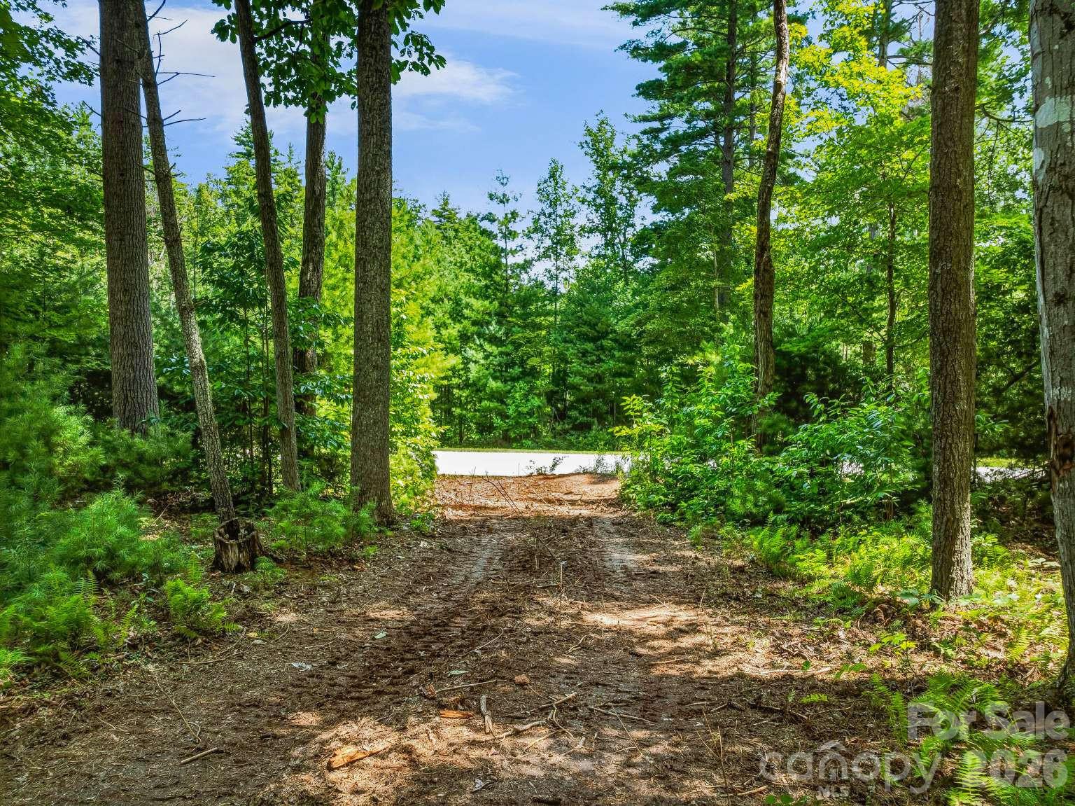 Lot at 31 Promenade Drive, Asheville, photo 9 of 20