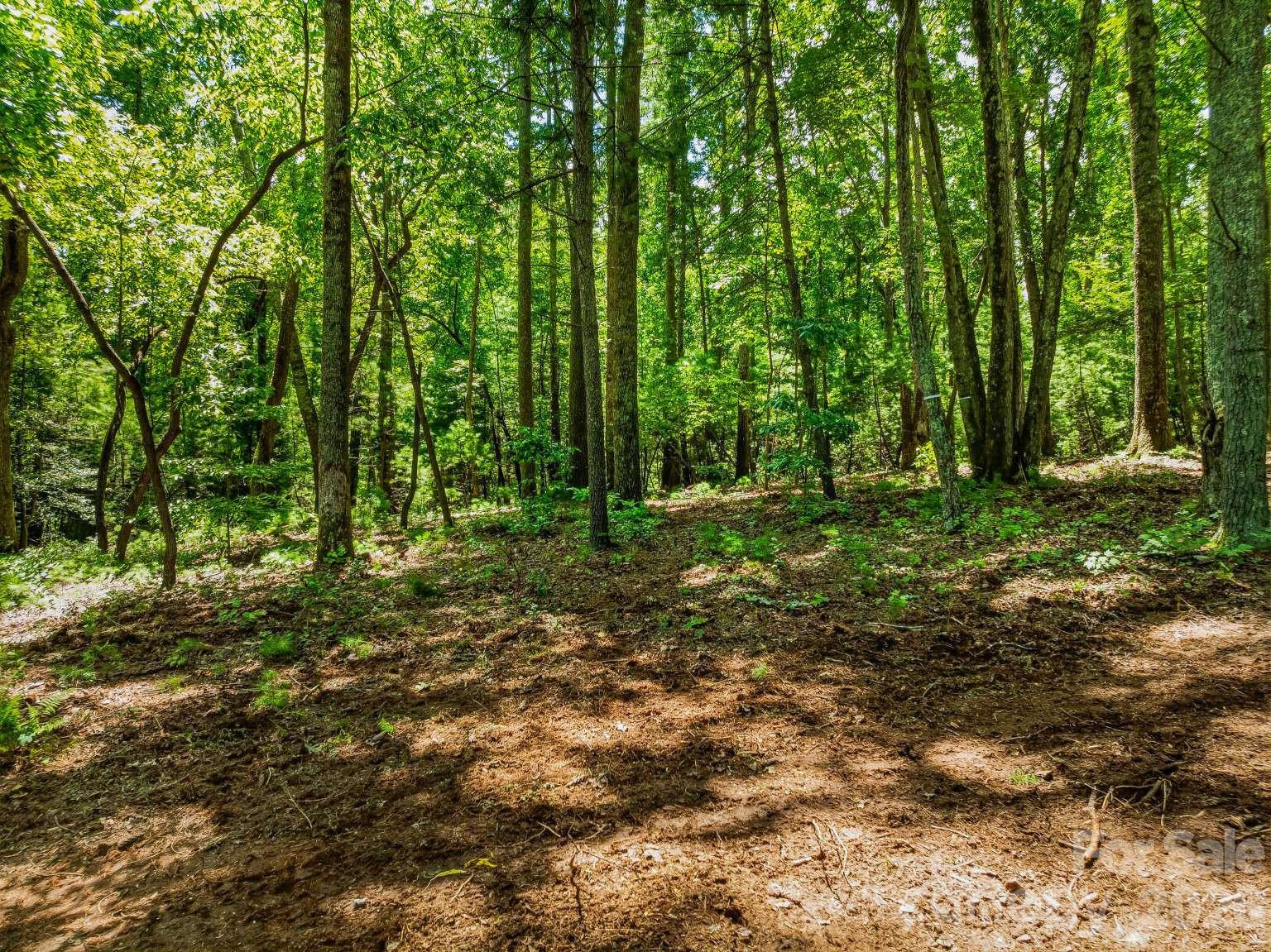 Lot at 31 Promenade Drive, Asheville, photo 10 of 20
