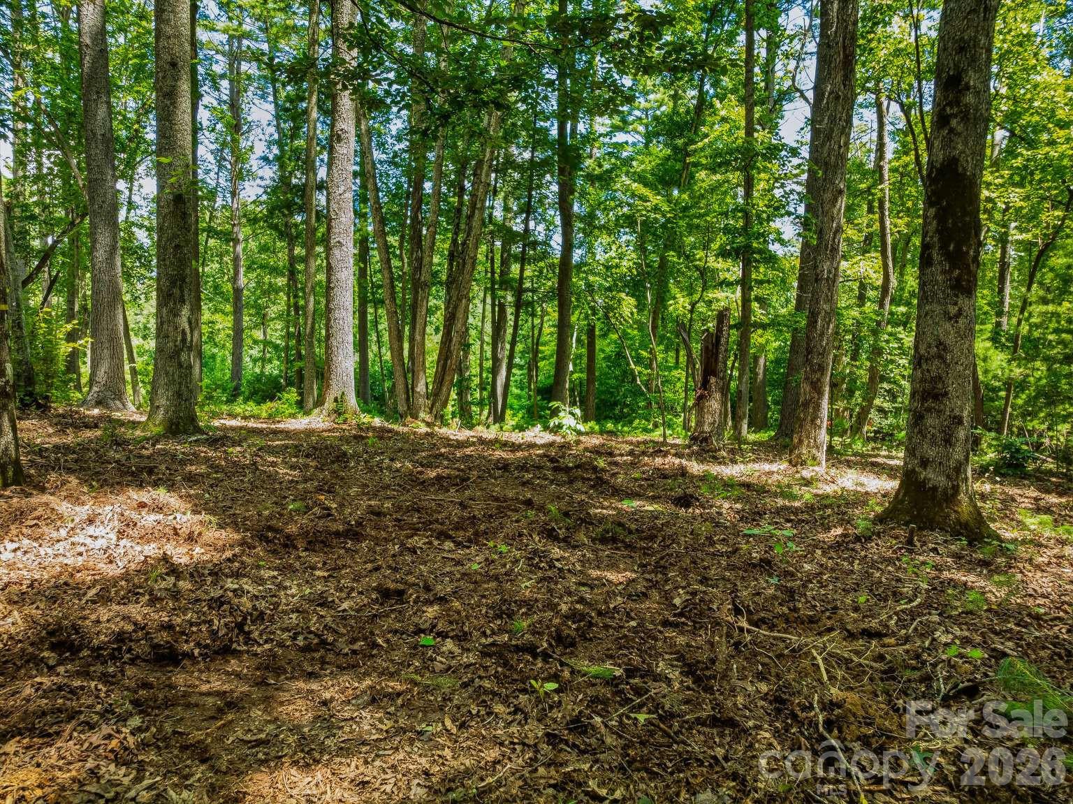 Lot at 31 Promenade Drive, Asheville, photo 11 of 20