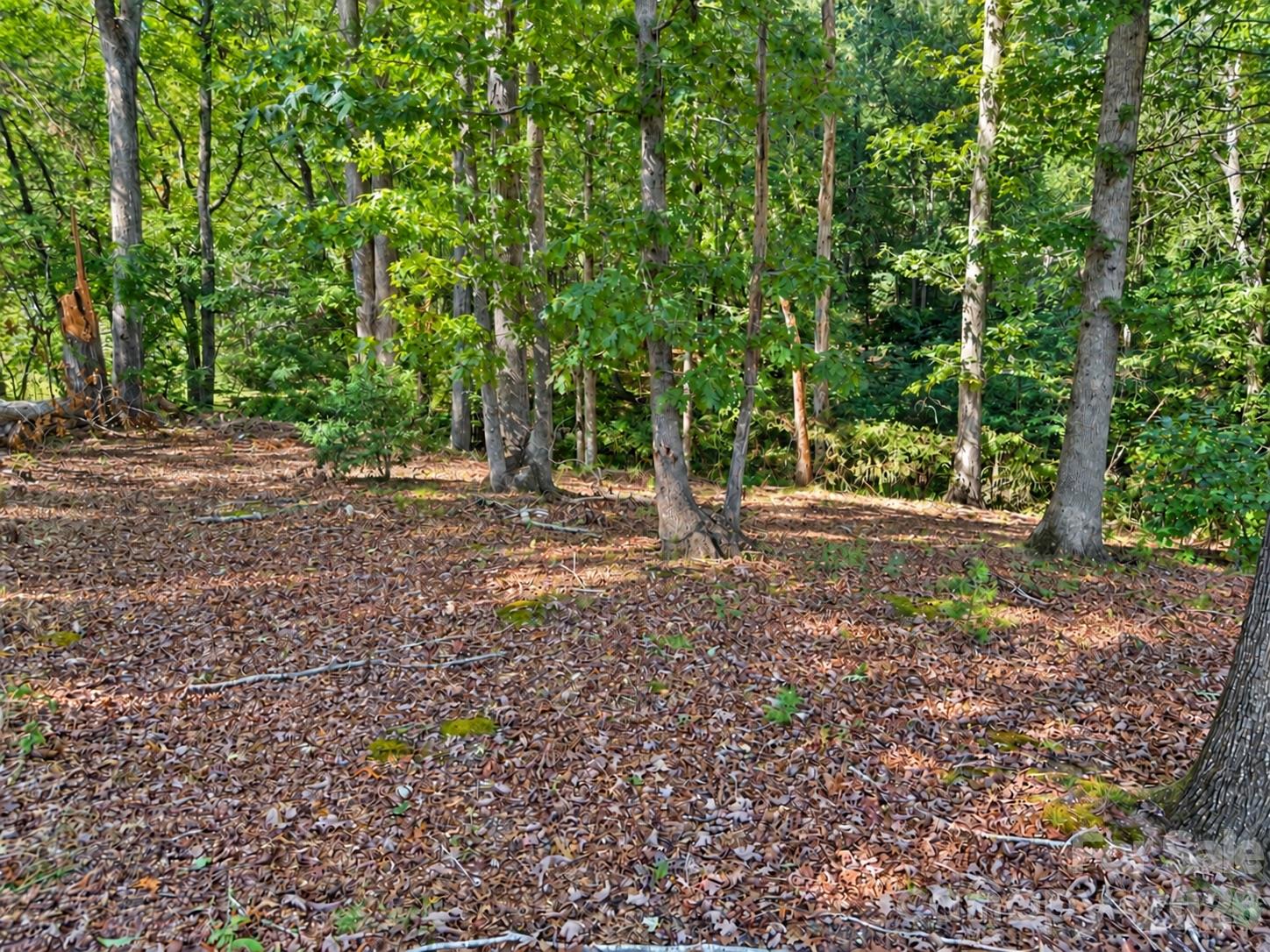Lot at 130 + 140 College Circle, Connelly Springs, photo 2 of 11