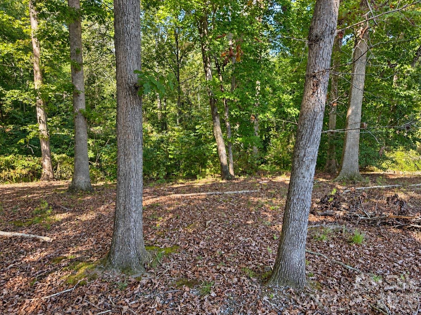 Lot at 130 + 140 College Circle, Connelly Springs, photo 10 of 11
