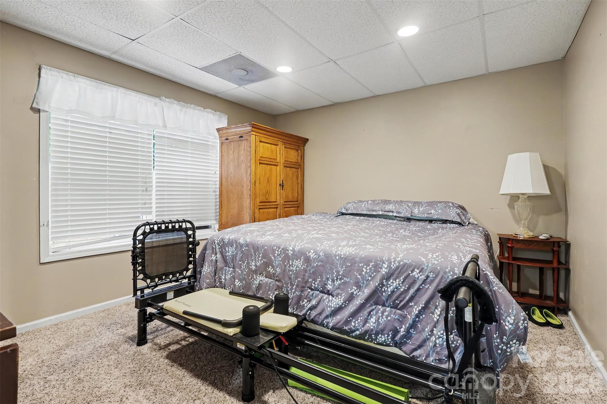 Basement Flex Room - 5221 Turkey Oak Drive, Mint Hill