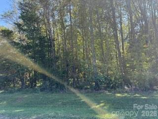 Lot at 0 Washington Drive, Yadkinville, photo 2 of 4