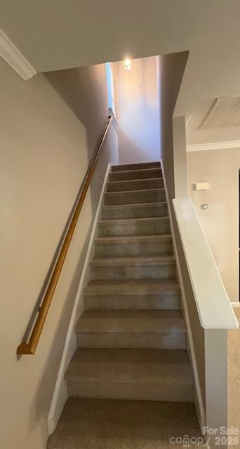 Stairs - 21411 Aftonshire Drive, Cornelius