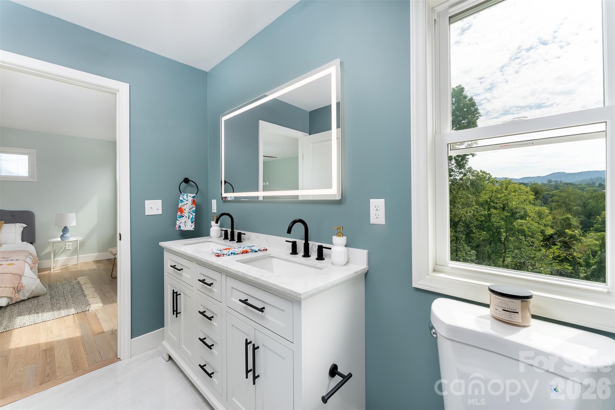 double sinks - 12 Crestfield Avenue, Asheville