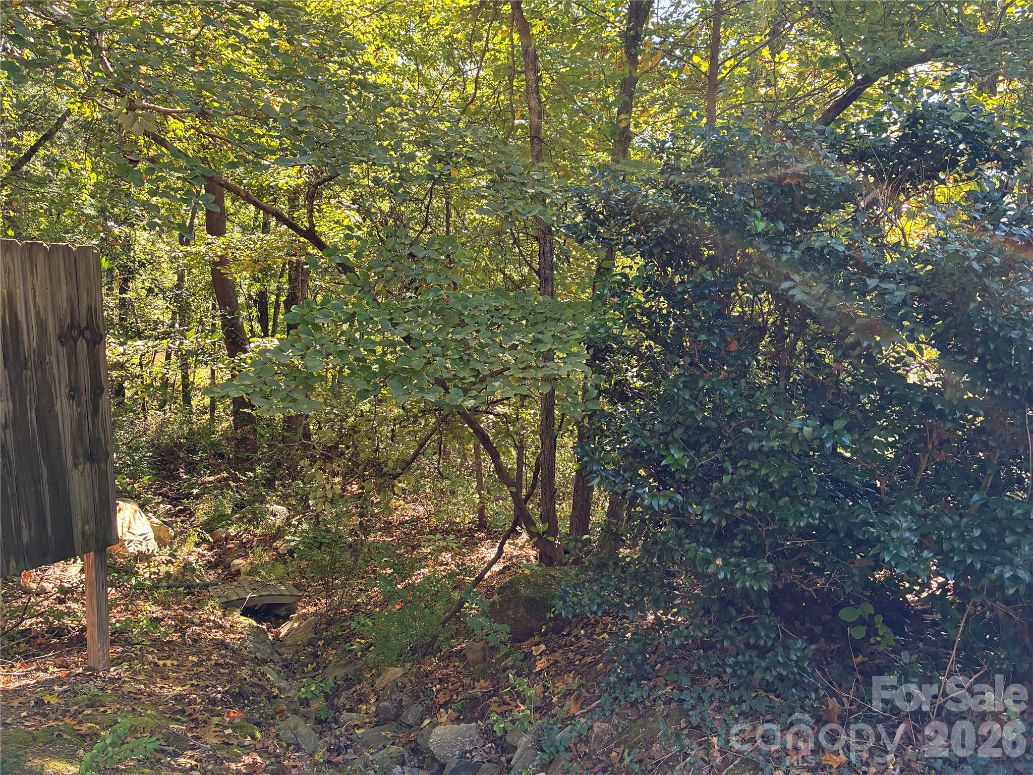 Lot at 99999 Cliffview Drive, Asheville, photo 5 of 18