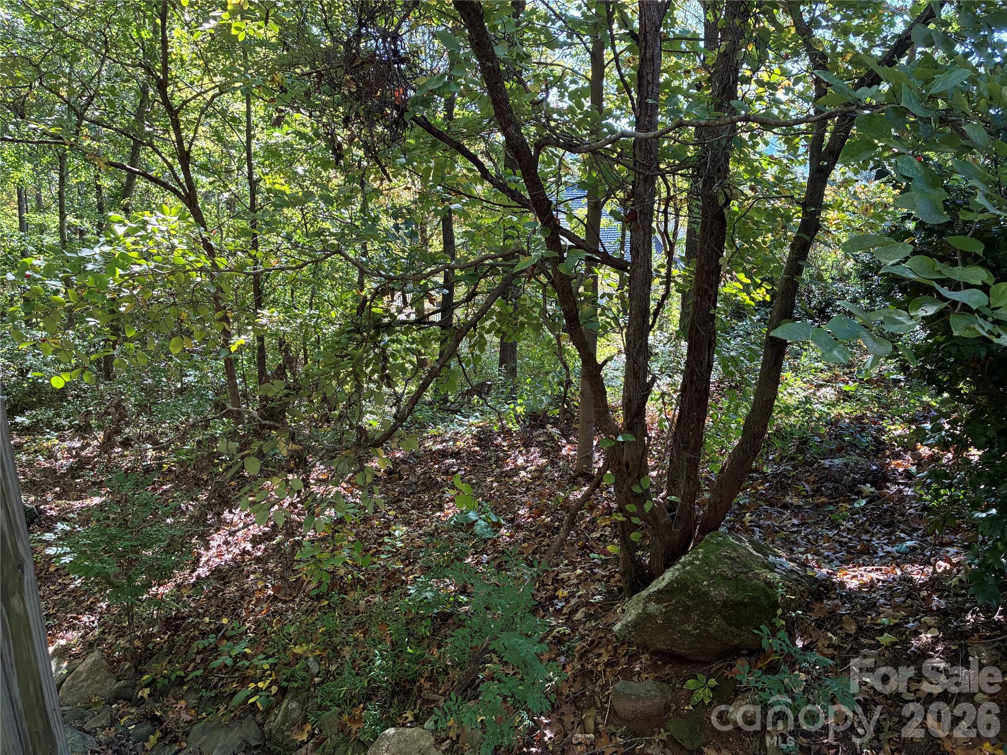 Lot at 99999 Cliffview Drive, Asheville, photo 6 of 18