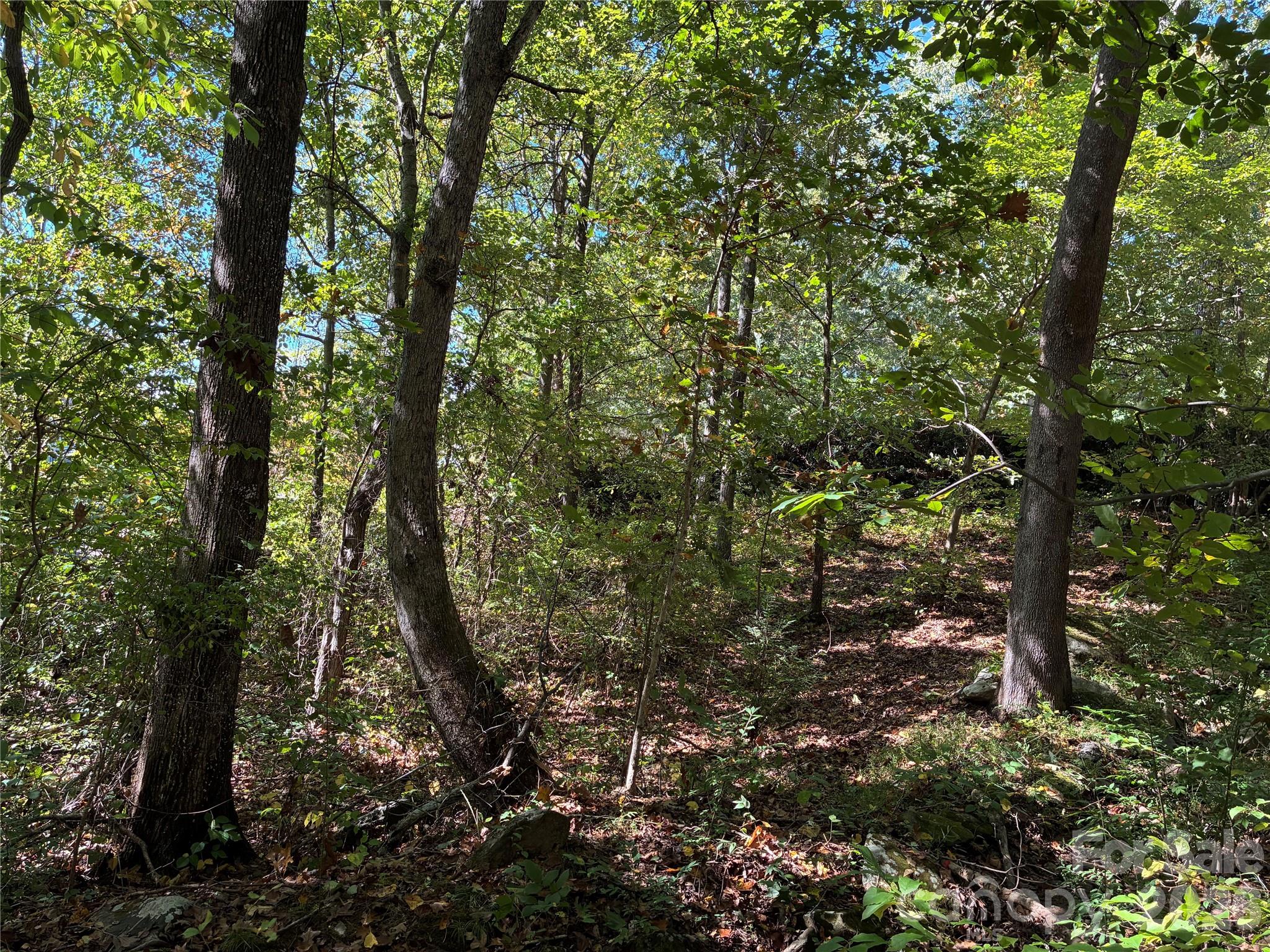 Lot at 99999 Cliffview Drive, Asheville, photo 8 of 18