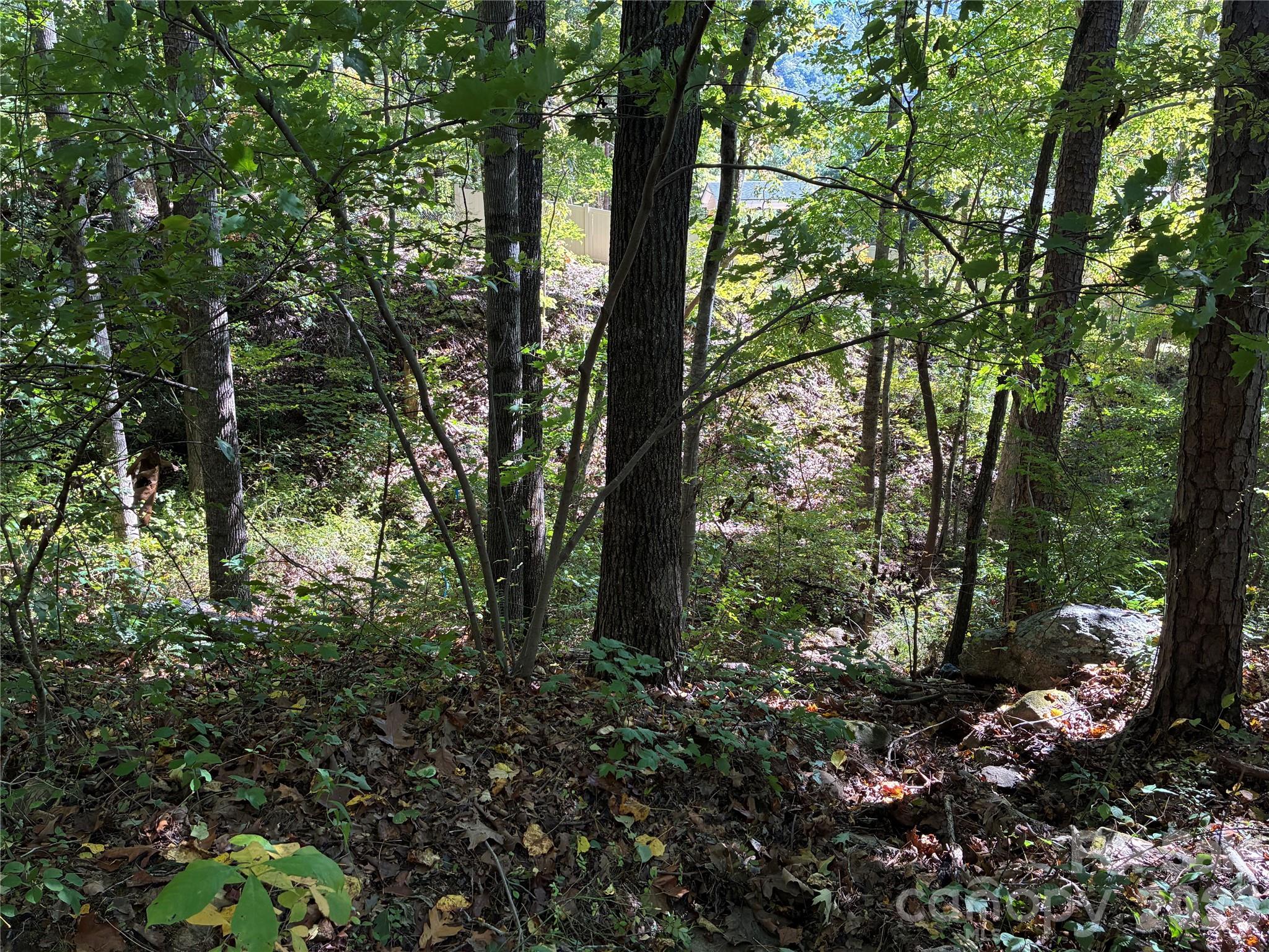 Lot at 99999 Cliffview Drive, Asheville, photo 9 of 18