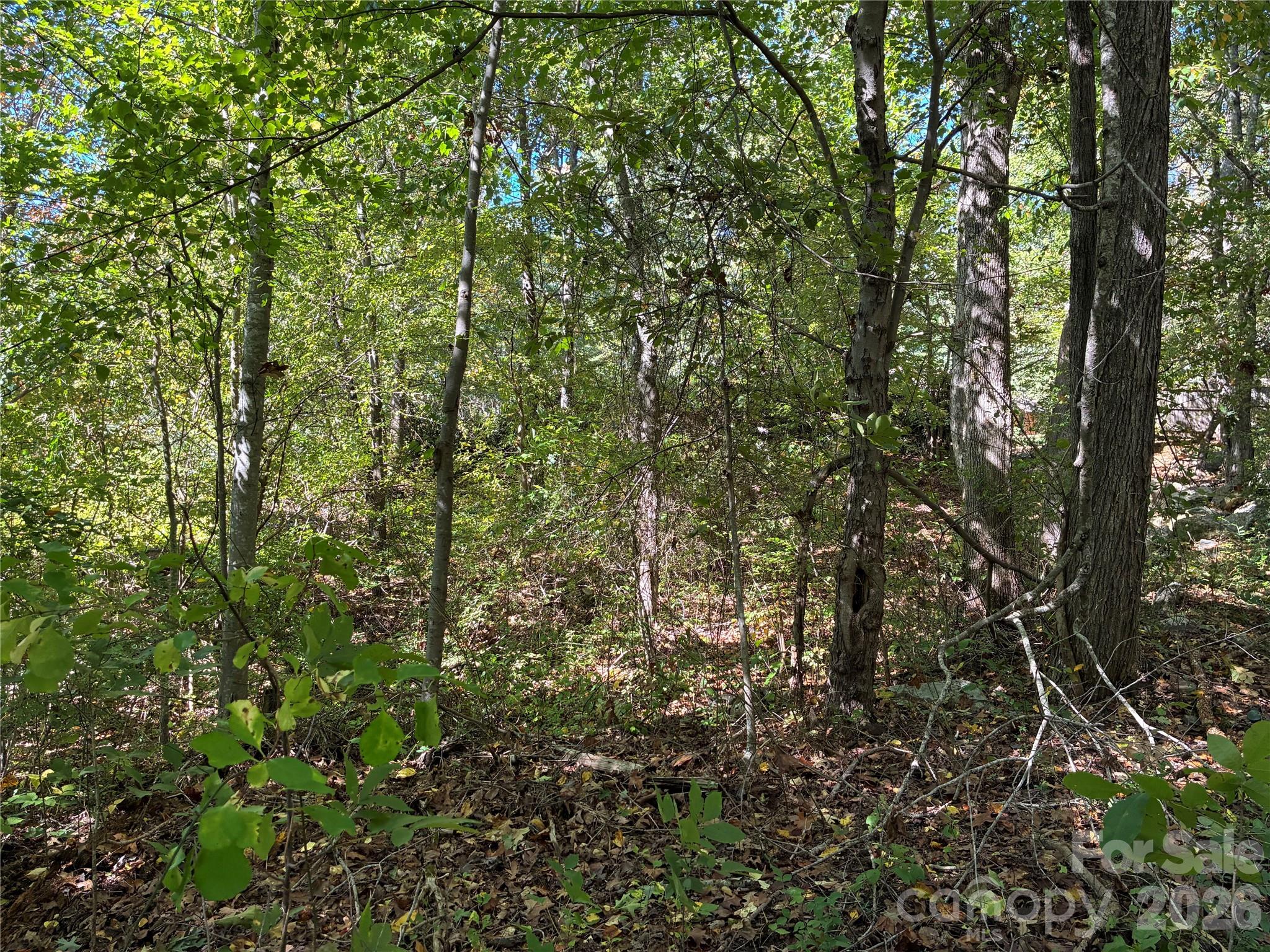 Lot at 99999 Cliffview Drive, Asheville, photo 10 of 18