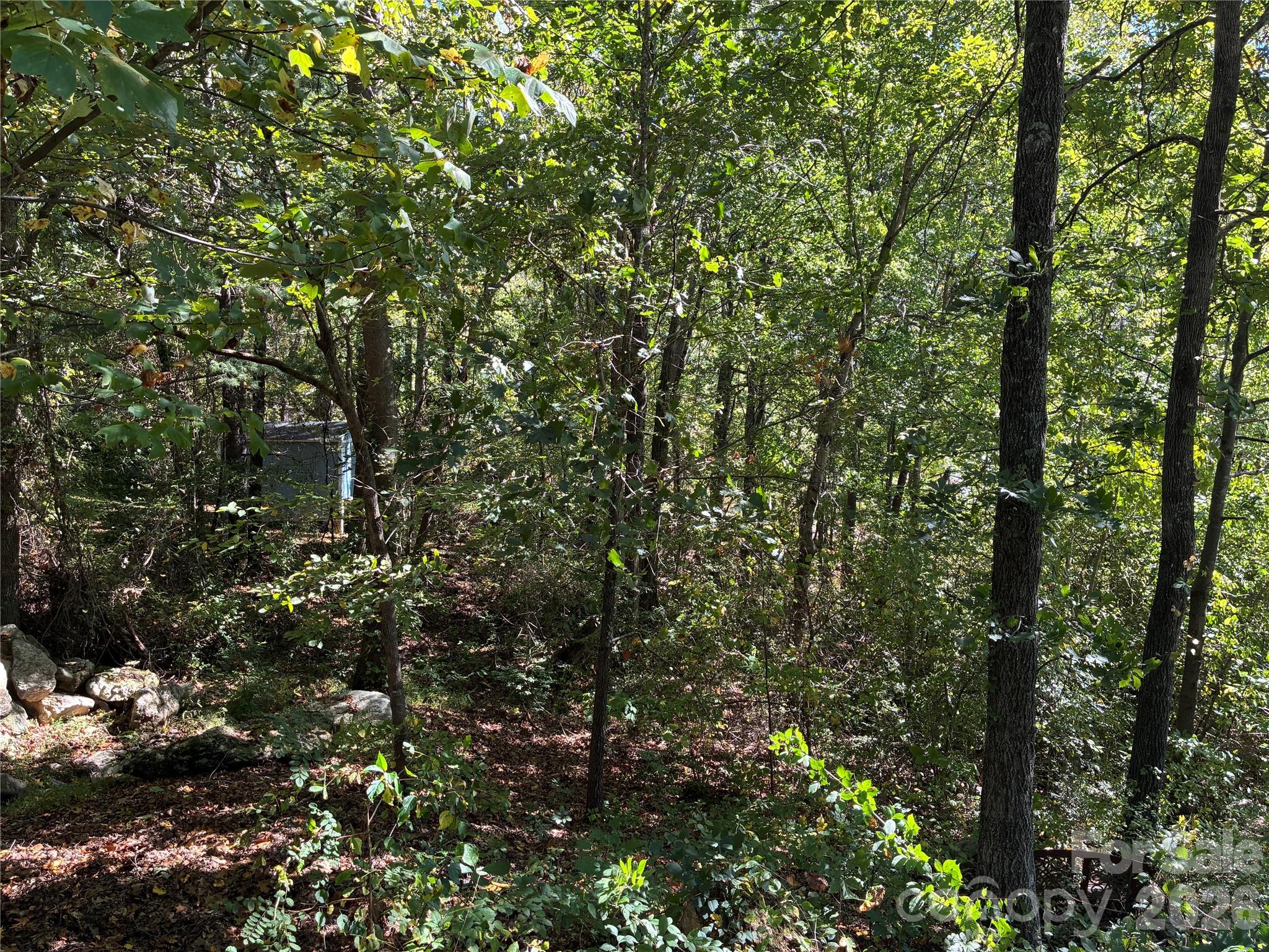 Lot at 99999 Cliffview Drive, Asheville, photo 12 of 18
