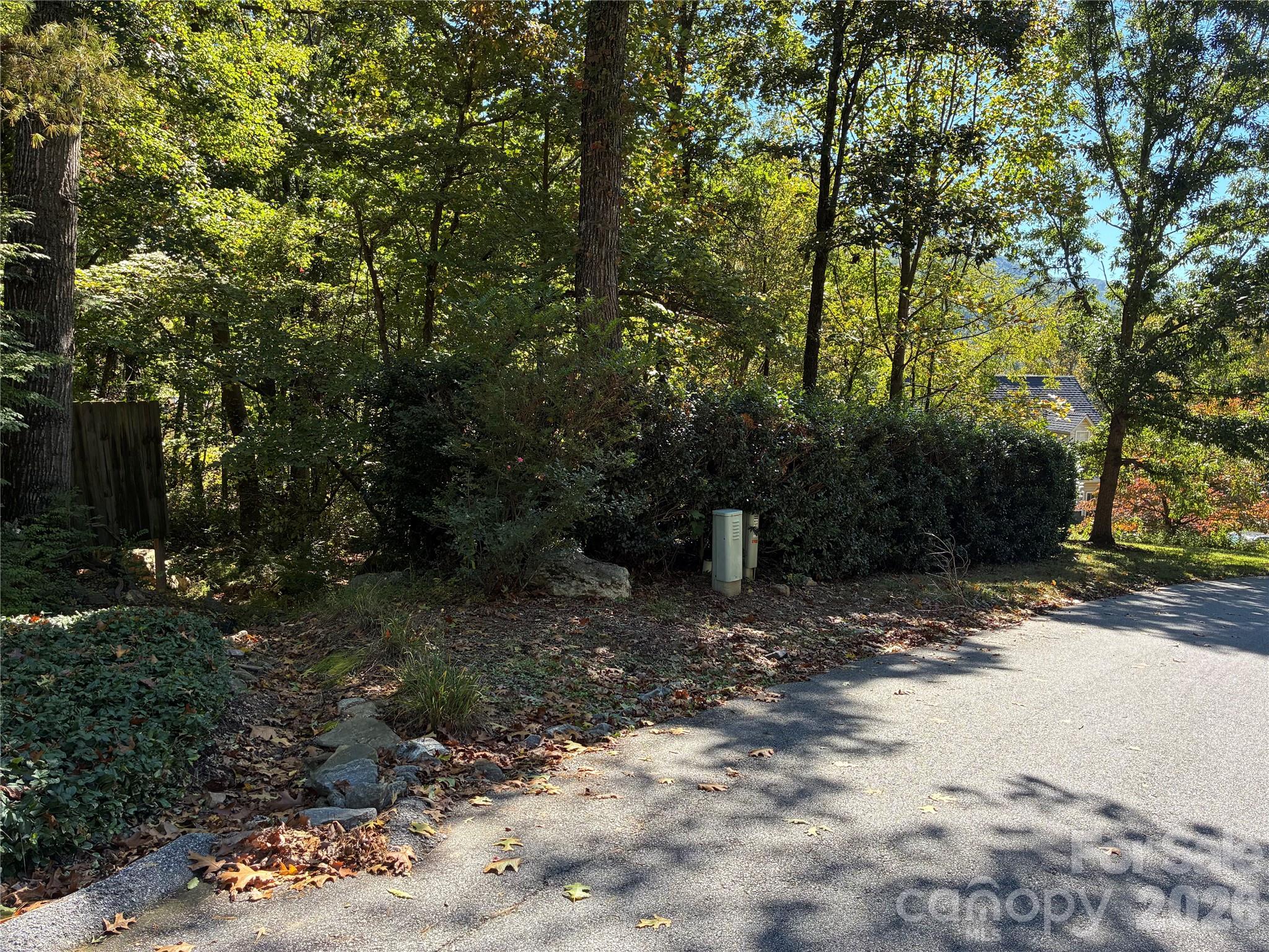 Lot at 99999 Cliffview Drive, Asheville, photo 15 of 18
