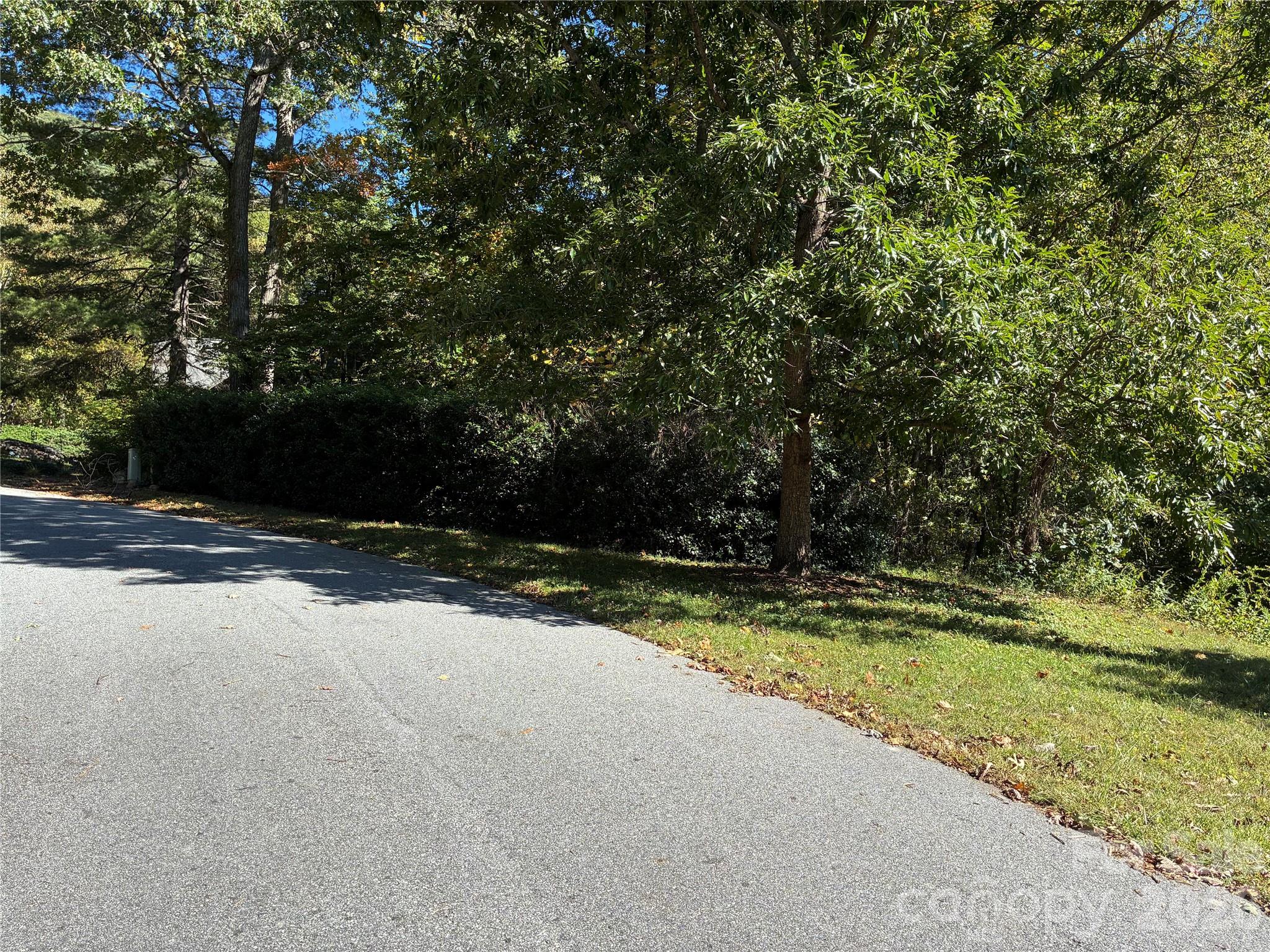 Lot at 99999 Cliffview Drive, Asheville, photo 17 of 18
