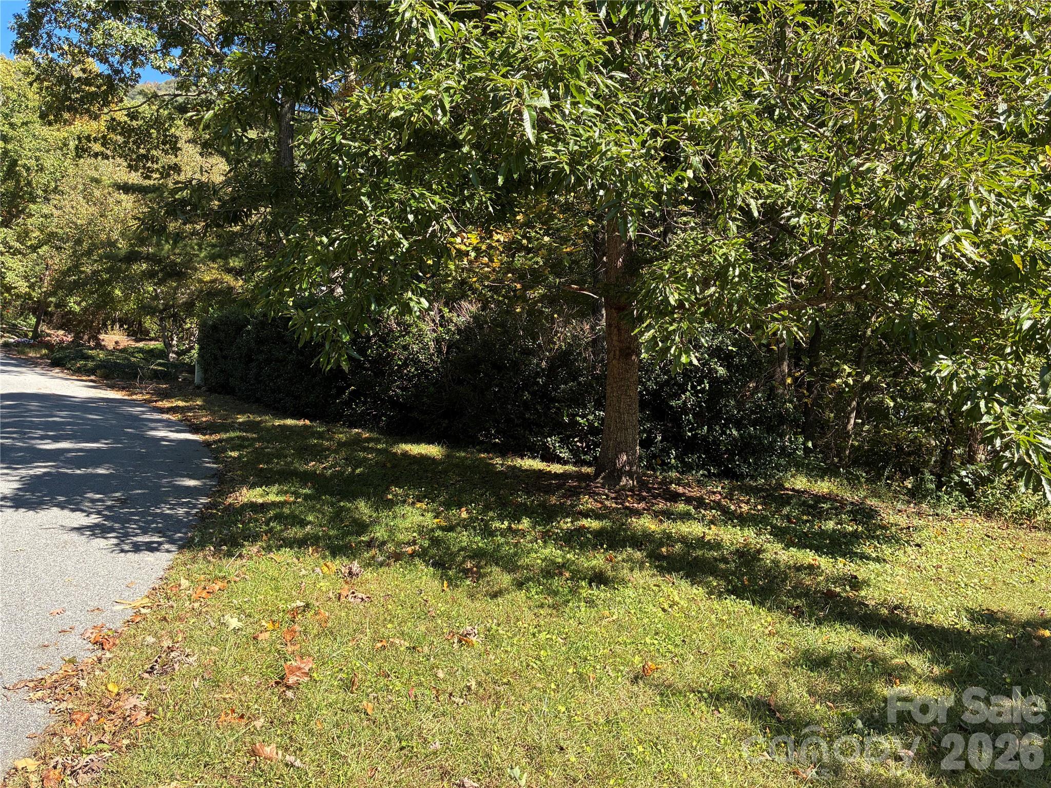 Lot at 99999 Cliffview Drive, Asheville, photo 18 of 18