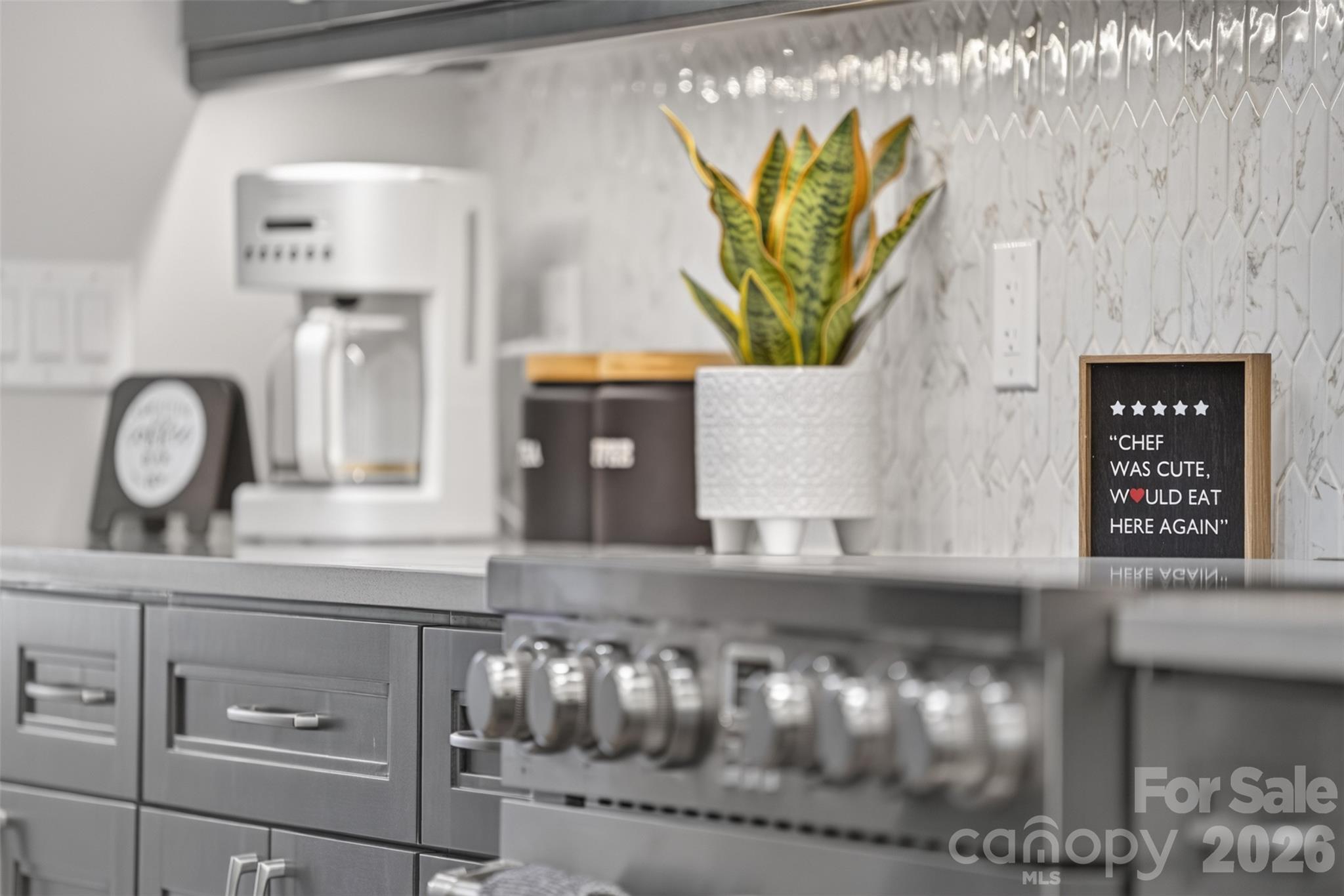This beautiful Thor range and exhaust hood is a chef's dream. - 160 Pumice Drive, Statesville