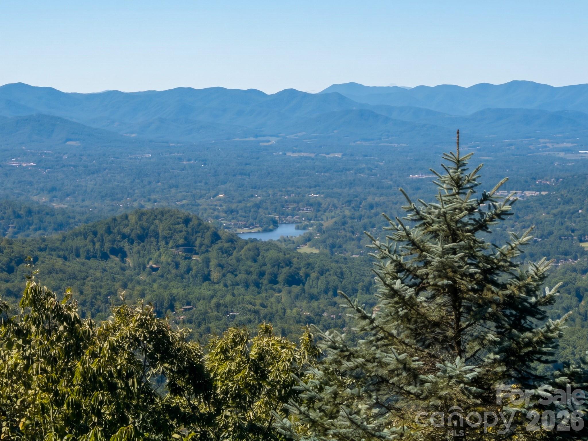 Single Family Residence at 28 Peach Knob Drive, Asheville, photo 22 of 48